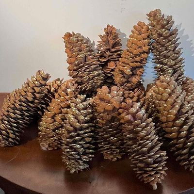 Sale Photo Thumbnail #446: Gold-Tipped Pine Cone Collection