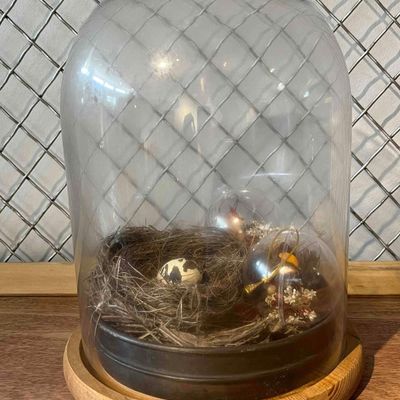 Sale Photo Thumbnail #323: Bird Nest & Lepidoptera Cloche Diorama
