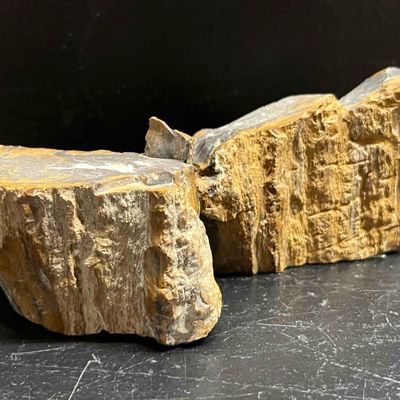 Sale Photo Thumbnail #93: A Pair of Petrified Wood Specimens