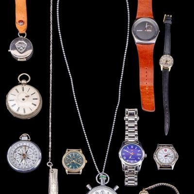 Skagen, Citizen, Eglin & Other Watches
