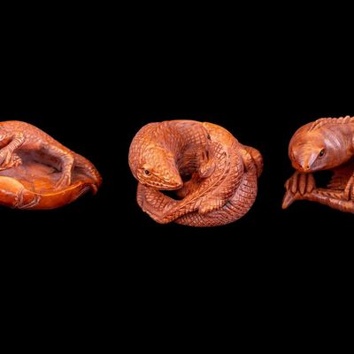 3 Carved Wooden Lizard Netsuke
