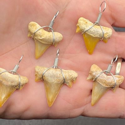 Sale Photo Thumbnail #291: Pendant, Jewelry, Wire, Fossil, Shark
