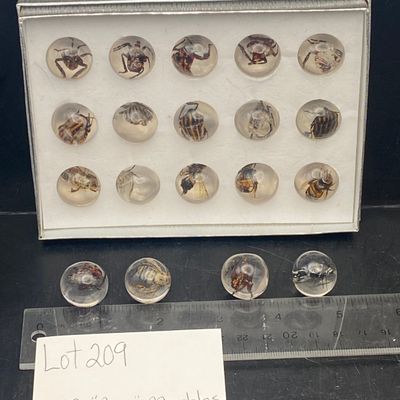 Sale Photo Thumbnail #209: Marble, Bug, Insect, Collectible, Toy
