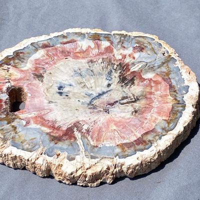 Sale Photo Thumbnail #34: Petrified Wood, Fossil, Rock, Collectible, Decor,