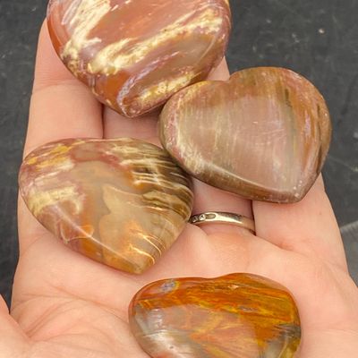 Sale Photo Thumbnail #182: petrified Wood, Fossil, Rock, Collectible, Decor,