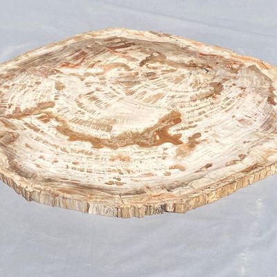 Sale Photo Thumbnail #4: Petrified Wood, Fossil, Rock, Collectible, Decor,