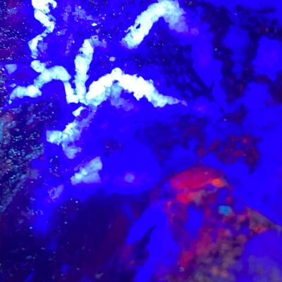 Sale Photo Thumbnail #107: Fluorescent, Mineral, Ore, Calcite, Fluorite, Wilemite