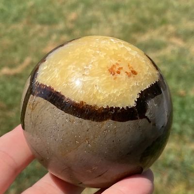 Sale Photo Thumbnail #249: Sphere, Septarian, Rock, Carving, Collectible, Decor