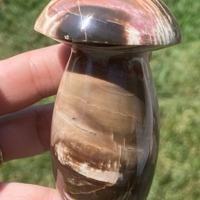 Sale Photo Thumbnail #61: Petrified Wood, Fossil, Rock, Collectible, Decor,