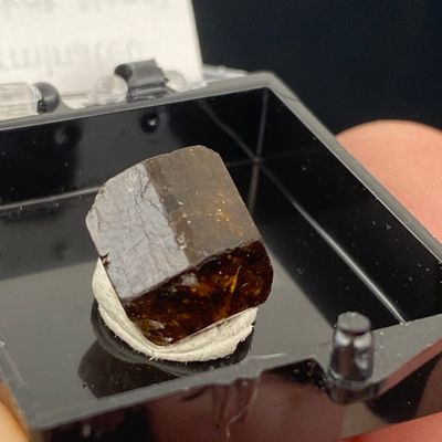 Sale Photo Thumbnail #190: Dravite, Tourmaline, Rock, Crystal, Collectible, Mineral, Specimen