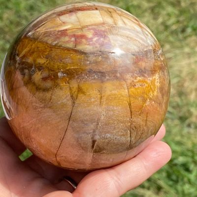 Sale Photo Thumbnail #35: Petrified Wood, Fossil, Rock, Collectible, Decor,