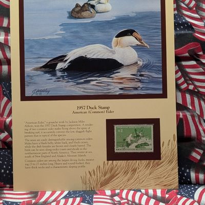 Sale Photo Thumbnail #357: 1957 Dept. Of The Interior Duck Stamp, RW- 24, Signed