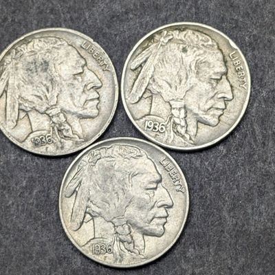 Sale Photo Thumbnail #291: (3) 1936 Indian Head Buffalo Nickels - Full Horns