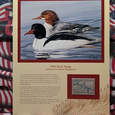 Sale Photo Thumbnail #352: 1956 Dept. Of The Interior Duck Stamp, RW-23, Signed