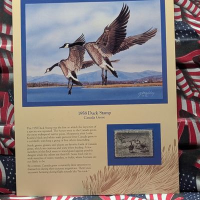 Sale Photo Thumbnail #362: 1958 Dept. Of The Interior Duck Stamp, RW- 25, Signed