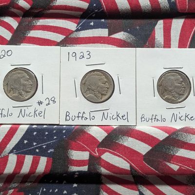 Sale Photo Thumbnail #139: 1920-P, 1923-P, & 1924-P Indian Head Buffalo Nickels