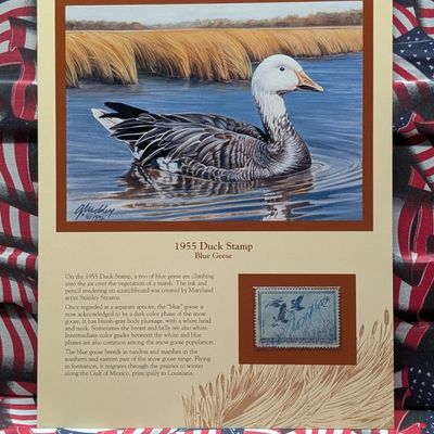 Sale Photo Thumbnail #347: 1955 Dept. Of The Interior Duck Stamp, RW-22, Signed