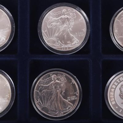 Sale Photo Thumbnail #397: FINE SILVER ASSORTED 1 OZT BULLION COINAGE - (6)