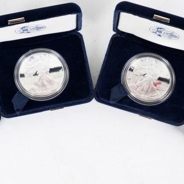 Sale Photo Thumbnail #246: 2001 W FINE SILVER PROOF AMERICAN EAGLES - (4)