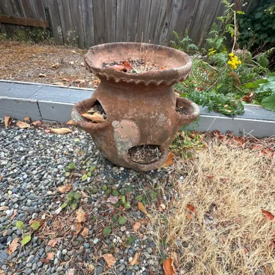 Terracotta pot