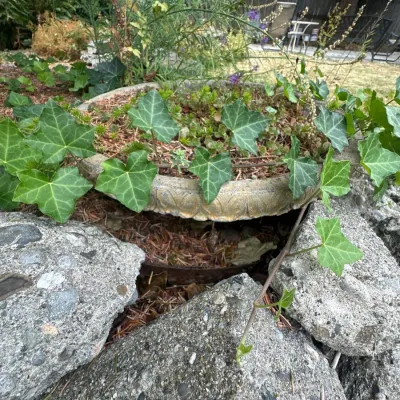 Pots