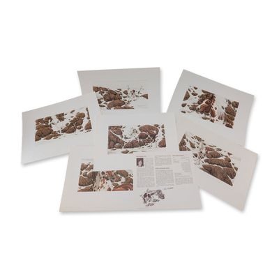 6pc Signed Bev Doolittle (American, b. 1947) Hide and Seek Print Suite