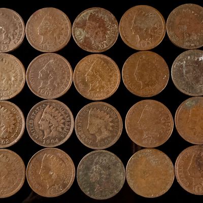 A Collection of US Indian Head Cents