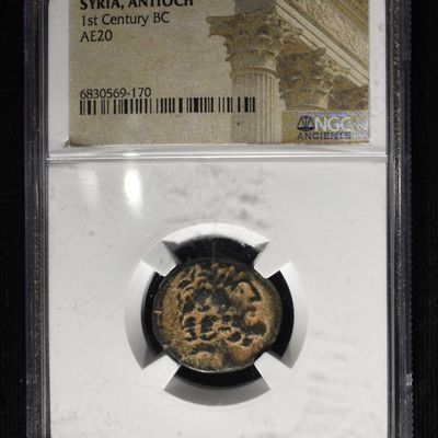 Sale Photo Thumbnail #268: SYRIA, ANTIOCH 1ST CENTURY BC, AE20 NGC