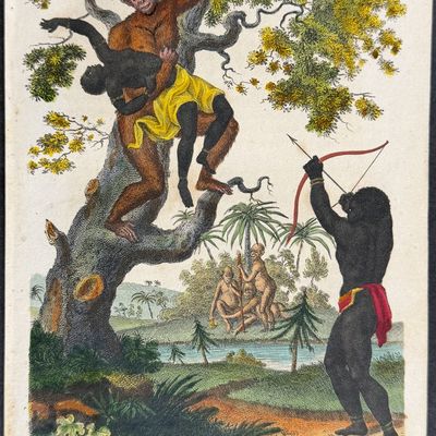 Linnaeus & Sibly - The Organ-Outang carrying off a Negro Girl