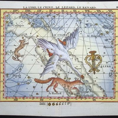 Flamsteed - Constellation or Celestial Chart of Lyre, Swan, Lizard, Fox