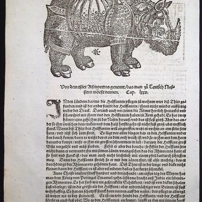 Munster, pub. 1578 - Rhinoceros after Albrecht Durer / Verso: Elephant