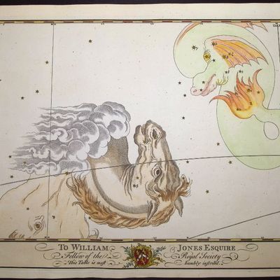 Bevis, Rare - Constellation or Star Chart of Pegasus, Equuleus (Little Horse), and Delphinus (Dolphin)