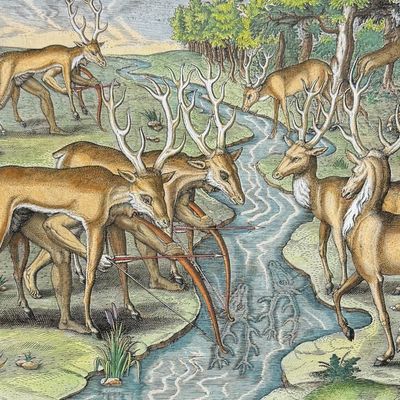 De Bry - Florida - Their manner of hunting (Deer)