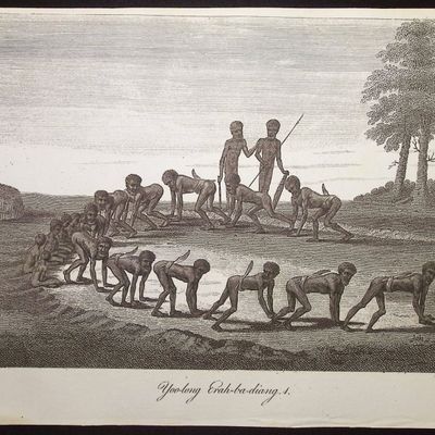 Collins - Australia (New Holland): Yoo-long Erah-ba-diang
