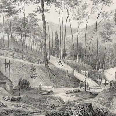 Dumont D'Urville, Australia - Australia; Moulin a Scie, dans les bois d'Hobart-Town (Van Diemen)