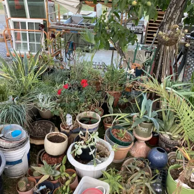 Sale Photo Thumbnail #39