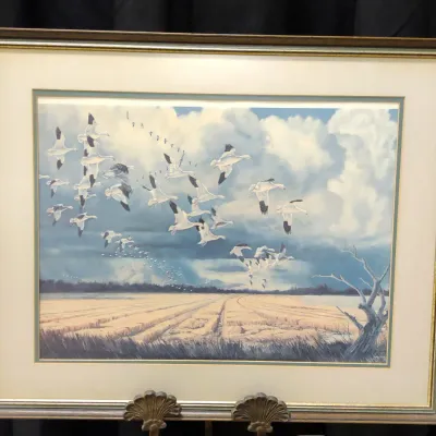 Sale Photo Thumbnail #334