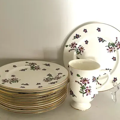 Royal Victoria Fine Bone China Luncheon Set
