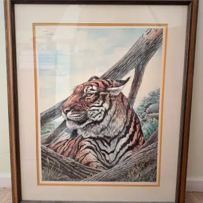Vintage “Bengal Tiger” Print By W.D. Gaither 257/1000 With Signature 