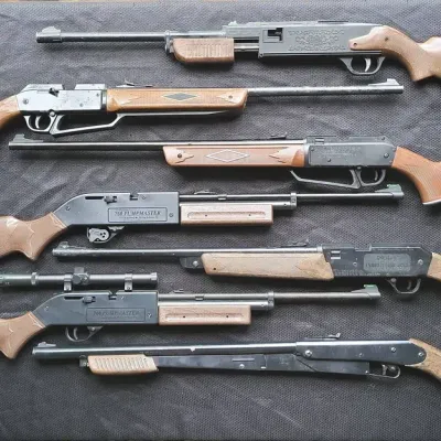 Crosman & Daisy BB G-u-n-s (LR-2)