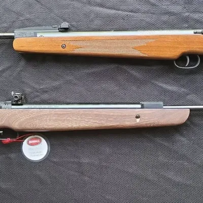 Remington & Mendoza Pellet G-u-n-s (LR-2)