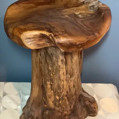 Rustic Carved Mushroom Stool