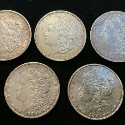 Morgan Silver Dollars (5 Count)