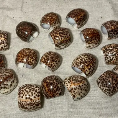 Cowrie Shell Napkin Rings