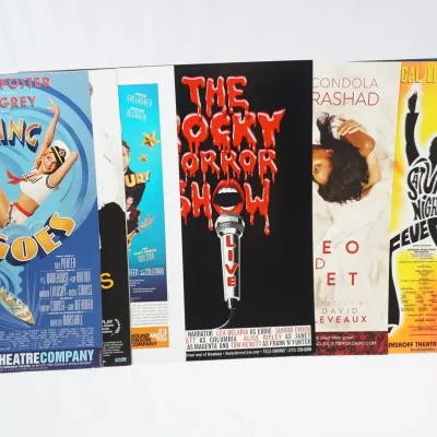 10 Broadway Posters - Anything Goes, Hedwig, Rocky Horror, Proof