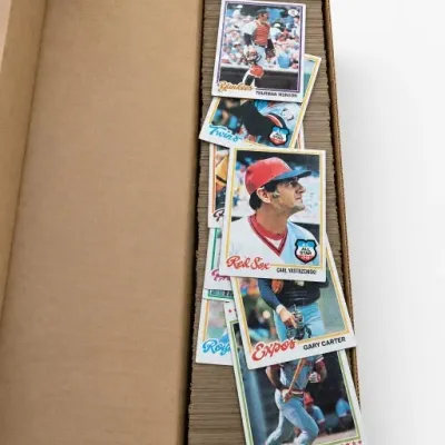 Sale Photo Thumbnail #223