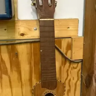 Bolivian 10 String Charanga With Armadillo Back