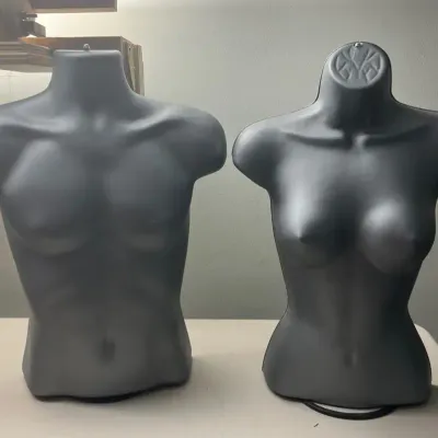 Male And Female Bust Forms (2)