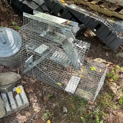 Live Catch And Release Traps
