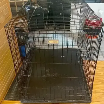 XL Dog Crate With Pan And Carpet (3)